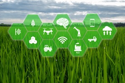 Les perspectives de l’intelligence artificielle dans l’agriculture en France