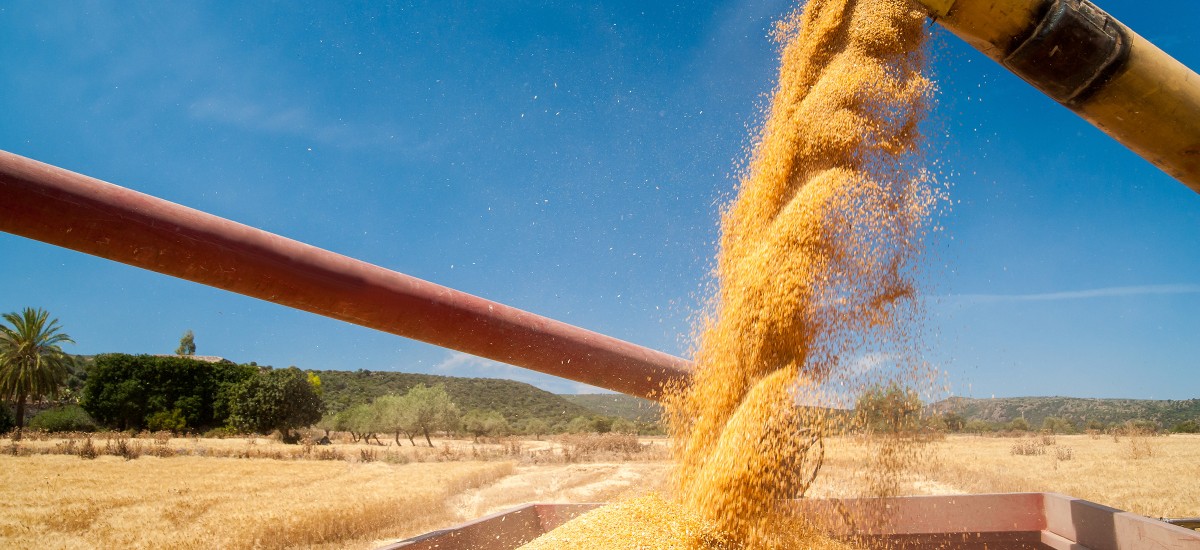 2025 A ETE MARQUEE PAR UNE HAUSSE DE 3,7 % DE LA PRODUCTION AGRICOLE ...