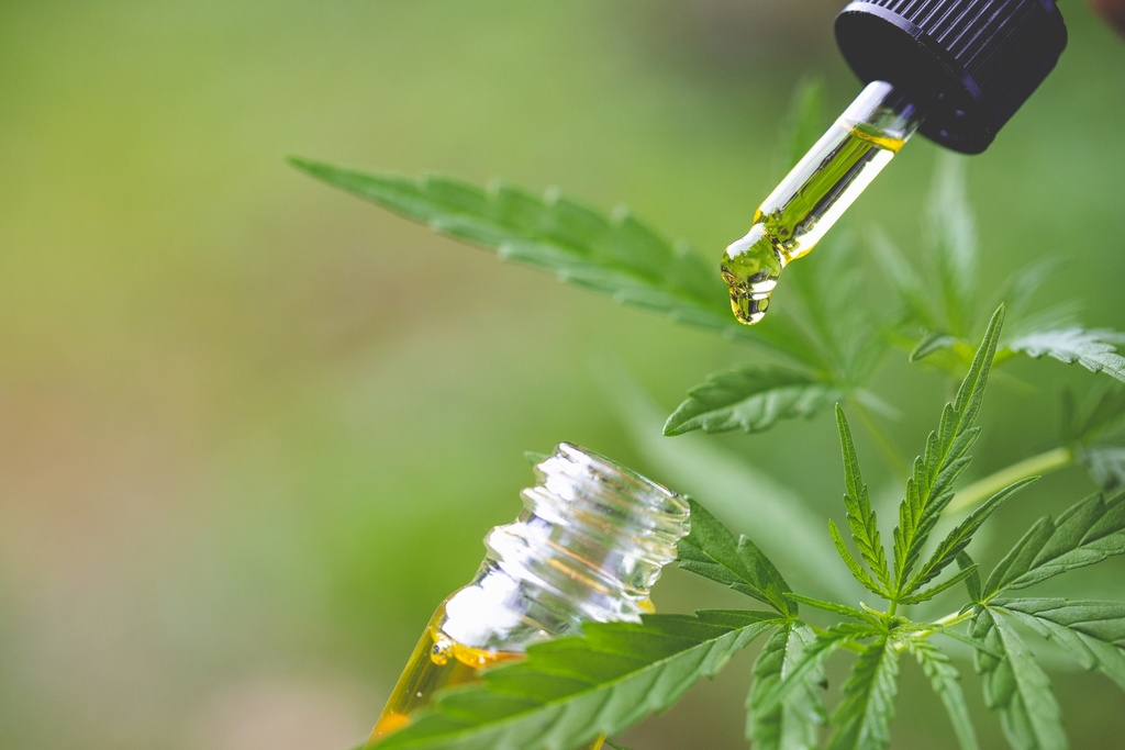 Les marchés du CBD et du cannabis médical : quelles perspectives en France ?