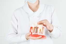 Marché des soins dentaires et de l’implantologie : les nouveaux modèles