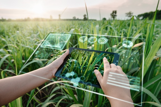 L’IA au service de l’agriculture : innovations et perspectives