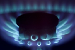 Le marché français du gaz naturel 2016